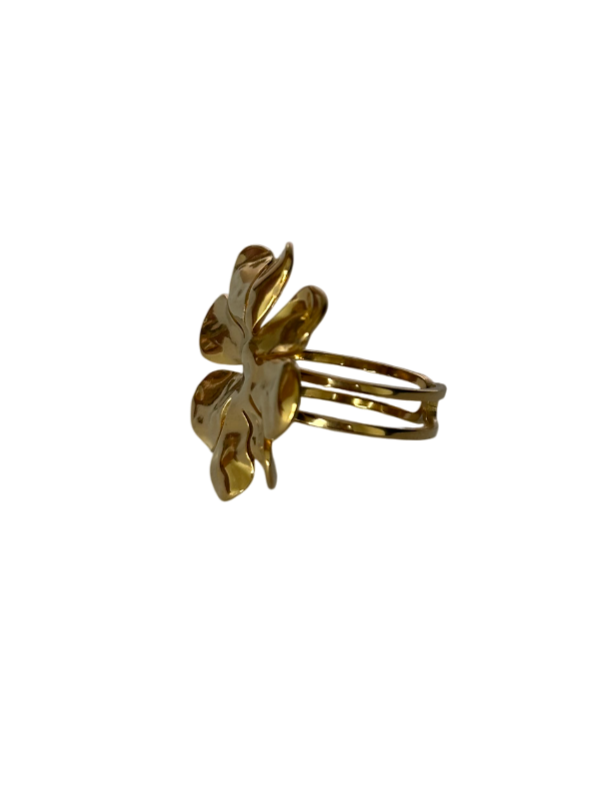 Anillo Aura