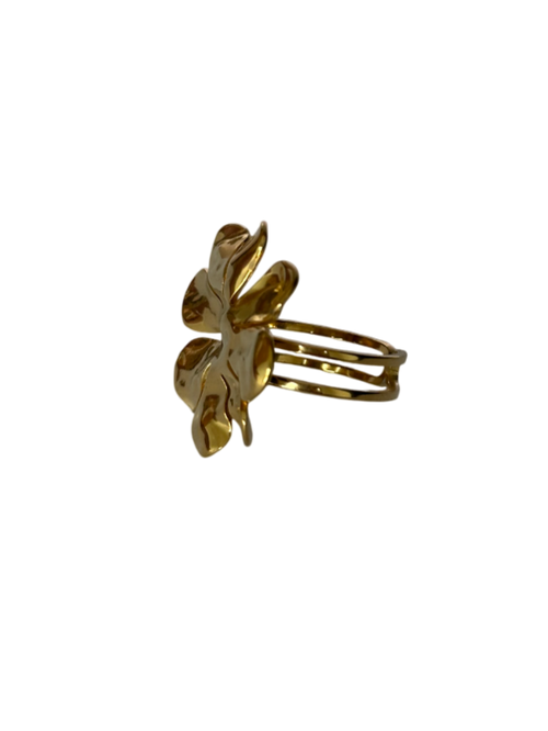 Anillo Aura