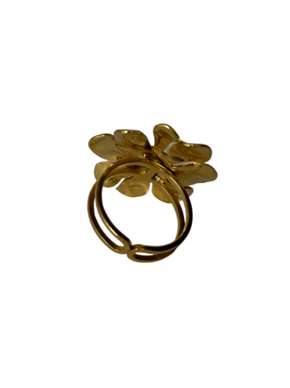 Anillo Aura