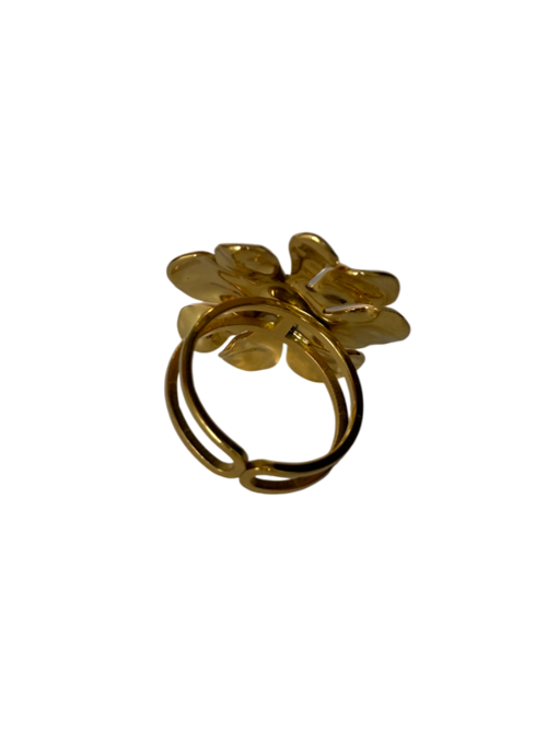 Anillo Aura