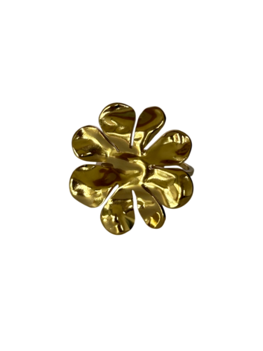 Anillo Aura