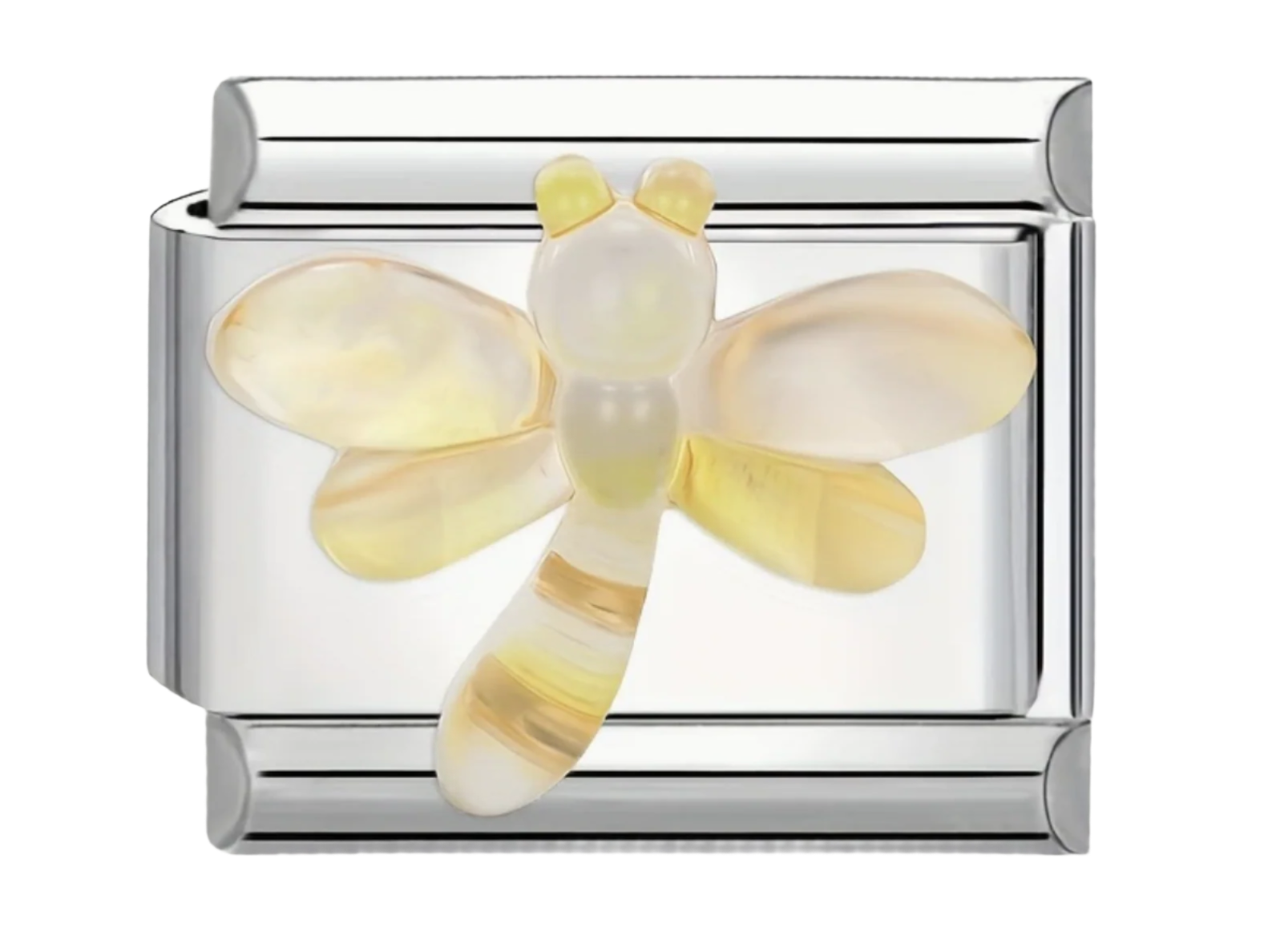 charm libelula
