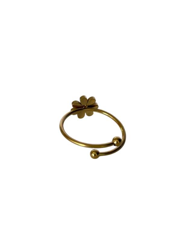 Anillo Lila